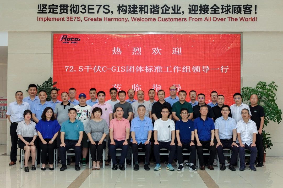 洛凱主導！“額定電壓 72.5kV 箱式氣體絕緣金屬封閉開關設備和控制設備(C-GIS)”團標第三次討論會成功舉行